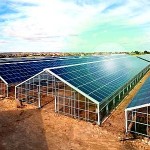 Fotovoltaico e rinnovabili : ruolo strategico del Sud Italia