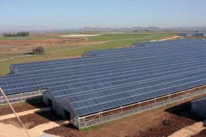 In Sardegna la serra fotovoltaica più grande del mondo