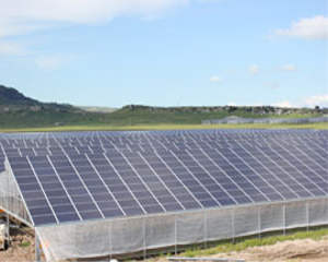 Fotovoltaico su serra : 16 Megawatt in Sardegna