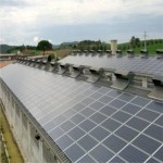 Impianto fotovoltaico senza incentivo in azienda, si può.