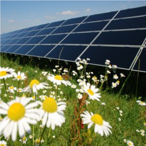 fotovoltaico in italia e nel mondo