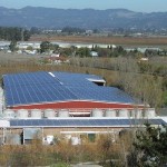 Renewable Energy Report: il fotovoltaico in Italia