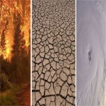 Il cambiamento climatico porterà alla fame globale?