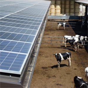 Scaldacqua a pompa di calore e fotovoltaico su azienda agricola