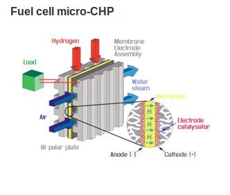 fuel cell