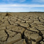 Cambiamenti climatici: i numeri dei profughi del clima