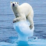 Artico: lo specchio del cambiamento climatico