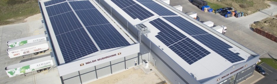 Impianti fotovoltaici in provincia di Rovigo